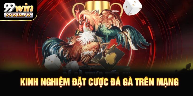 Kinh nghiệm đặt cược đá gà trên mạng uy tín tại 99WIN