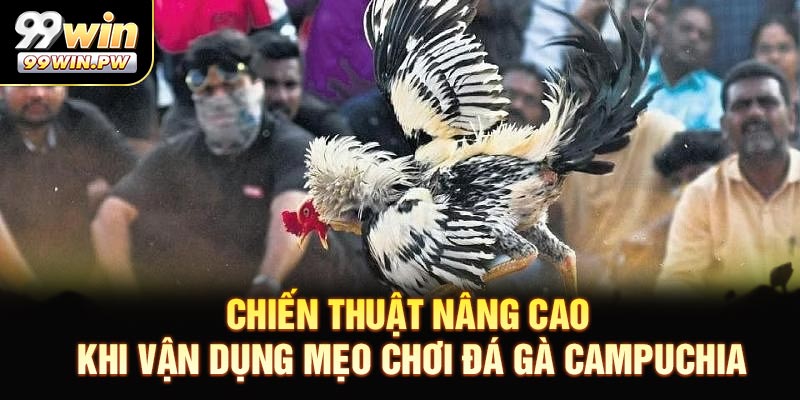 Chiến thuật nâng cao khi vận dụng mẹo chơi đá gà Campuchia