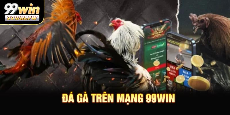 Đá Gà Trên Mạng - Theo Dõi Những Trận Đấu Kịch Tính